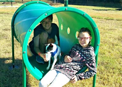 Kids at a dog park - FirstService Residential