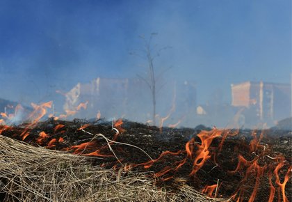 Preventing Wildfires