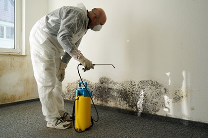 How to handle mold in your association